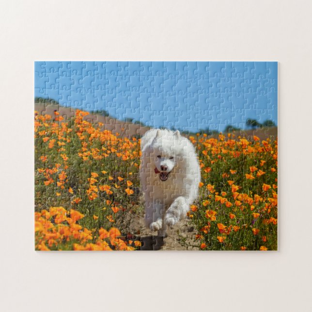 Coconut Poppies Puzzle (Horizontal)