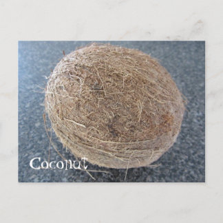 Coconut Postcard