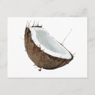Coconut Postcard