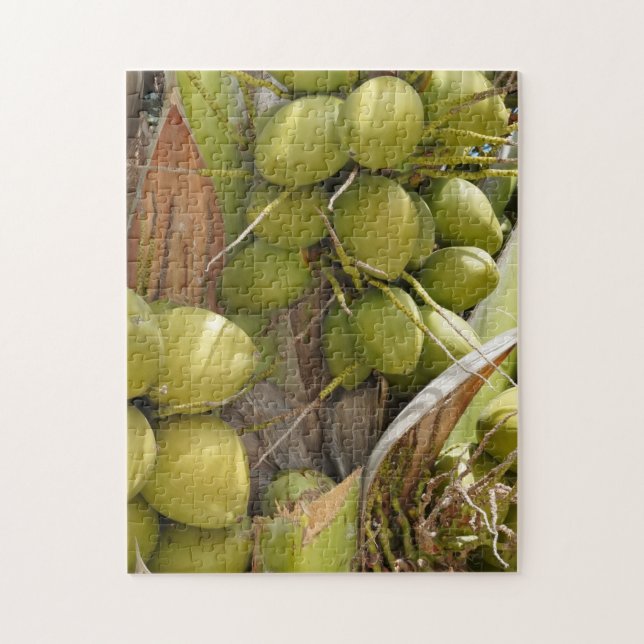 Coconut Puzzle (Vertical)