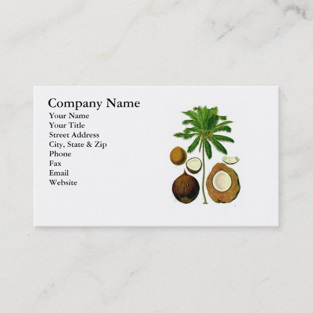 Coconut Tree Botanical Illustration Business Card (Front)