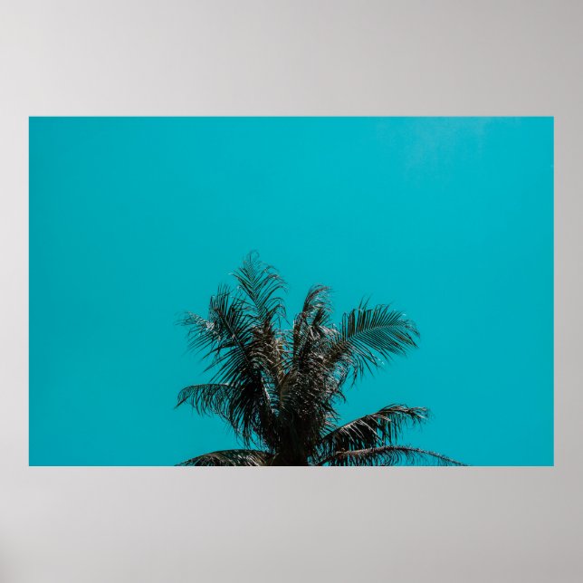 Coconut tree poster (Front)
