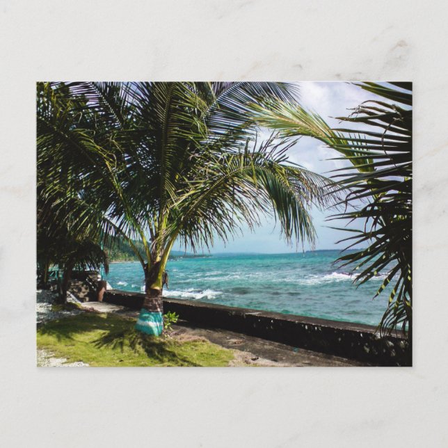 Coconut Tree Rocky Coast Pacific Beach Waves Postcard (Front)