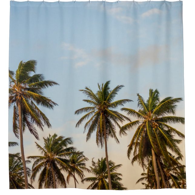 Coconut trees under cloudy sky in the morning (Front)