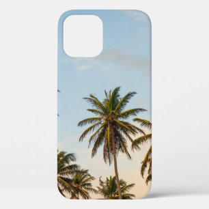 Coconut trees under cloudy sky in the morning iPhone 12 case