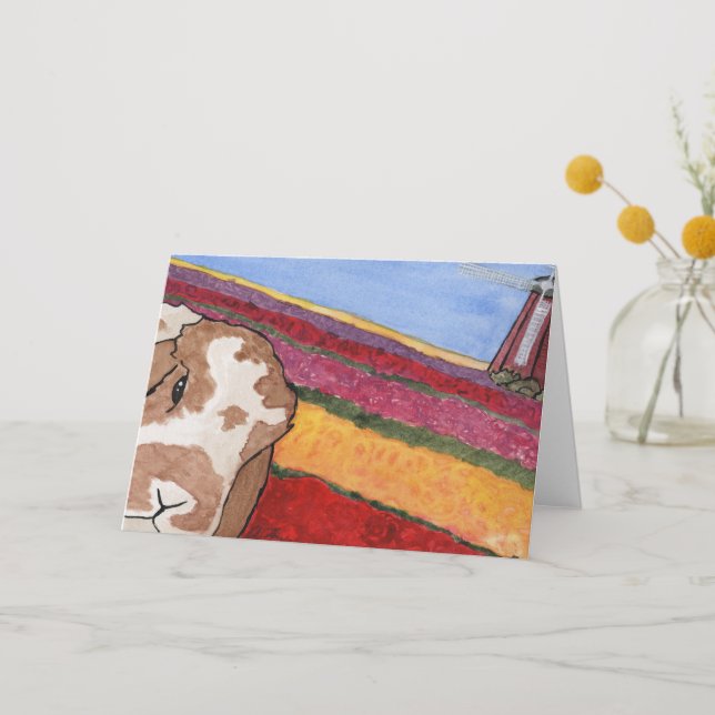 Coconut's Adventures: May Greeting Card A5 (Front)