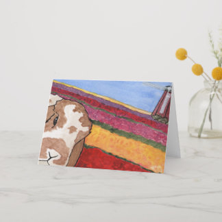 Coconut's Adventures: May Greeting Card A5