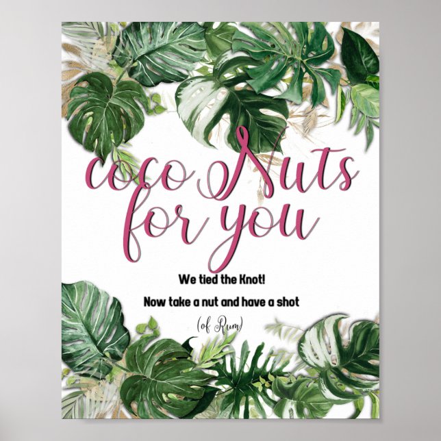 CocoNuts for you - poster (Front)