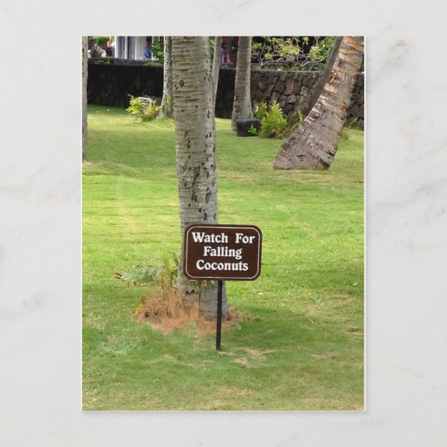 Coconuts Hawaii Warning Sign Postcard (Front)
