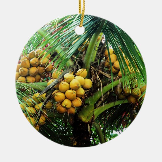 coconuts on the tree ceramic ornament (Front)