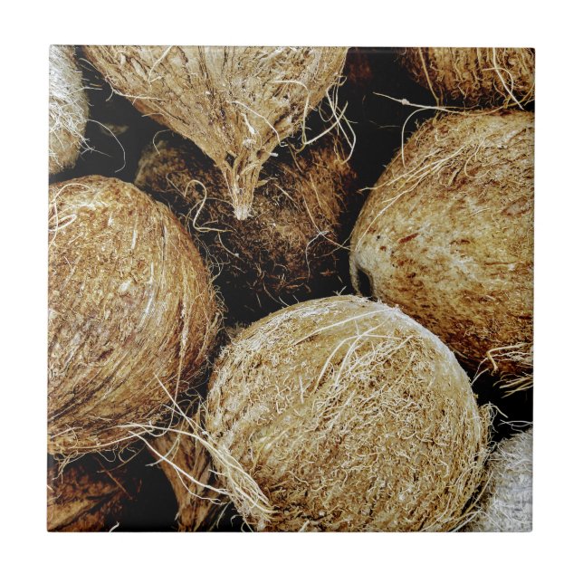 Coconuts Tile (Front)