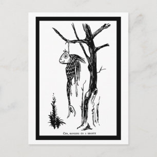 Cod, Hanging on a Branch Postcard