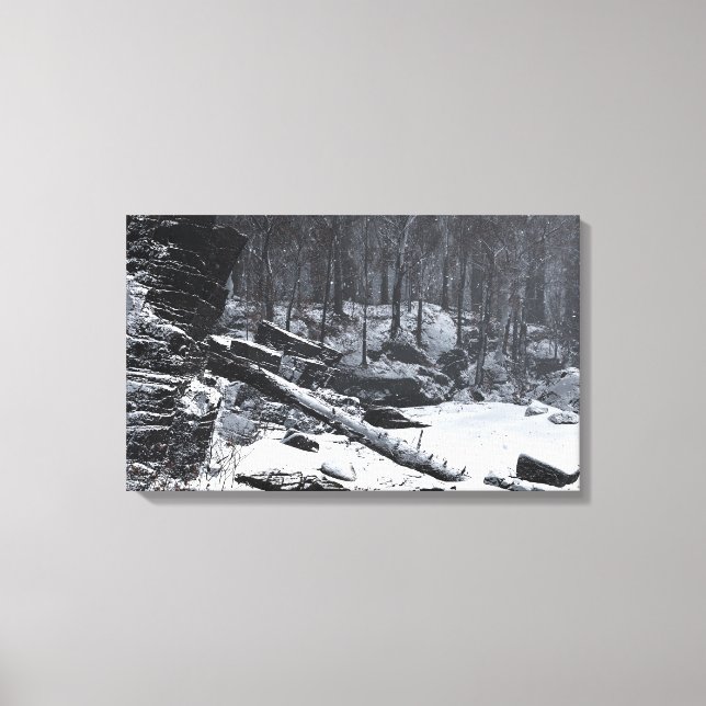Coda (Winter) Canvas Print (Front)