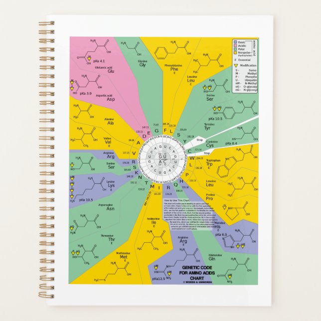 Code Génétique Pour Acides Aminés Graphique Roue (Devant)