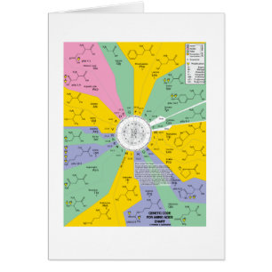 Code génétique pour des acides aminés (roue de