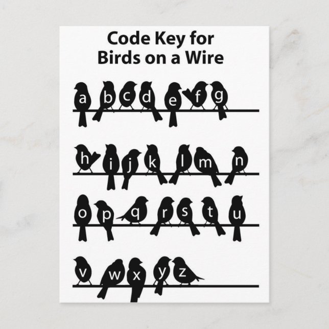 Code Key - Birds on a wire Postcard (Front)