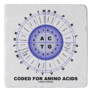 Coded For Amino Acids Codon Wheel Trivet