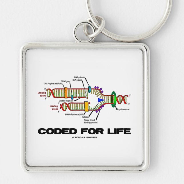 Coded For Life (DNA Replication) Keychain (Front)