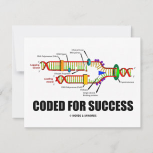 Coded For Success (DNA Replication)