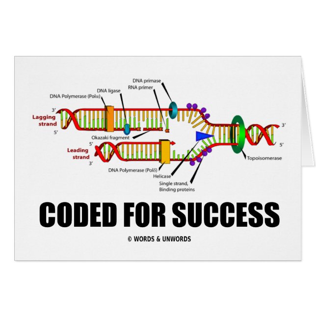 Coded For Success (DNA Replication) (Front Horizontal)