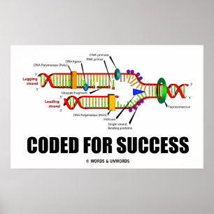 Coded For Success DNA Replication Humour Poster