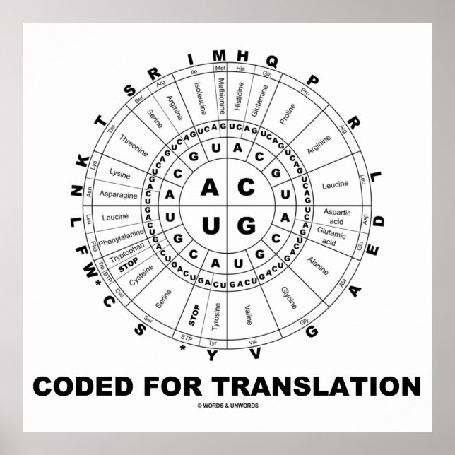 Coded For Translation (RNA Codon Wheel) Poster (Front)