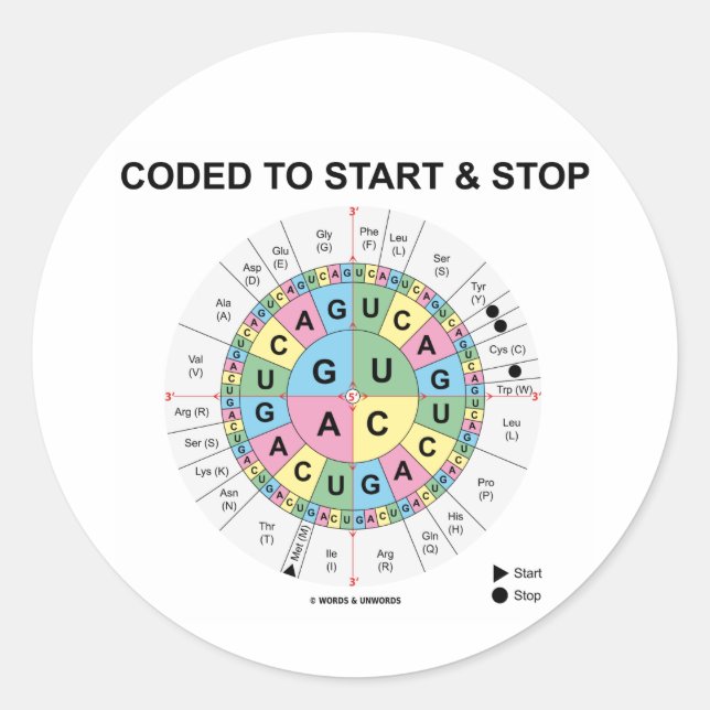 Coded To Start And Stop (Codon Wheel) Classic Round Sticker (Front)