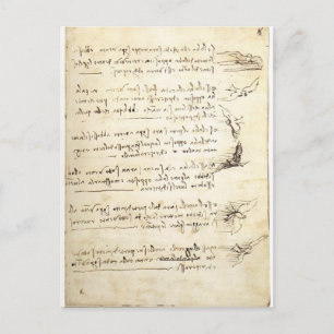 Codex on the flight of birds by Leonardo da Vinci Postcard