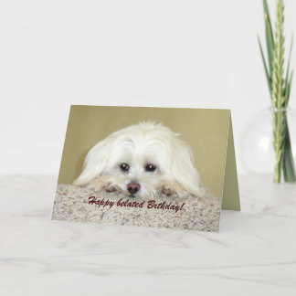 'Cody' Greeting card Happy belated Birthday!