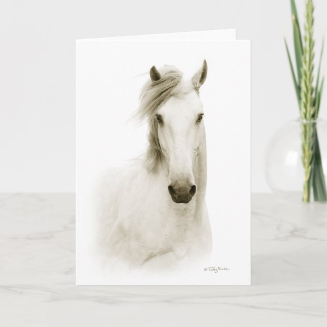 Coealto Luisitano card (Front)