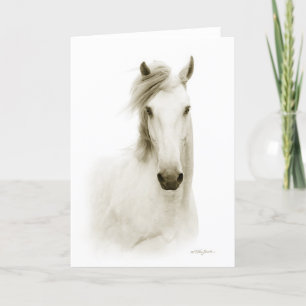 Coealto Luisitano card