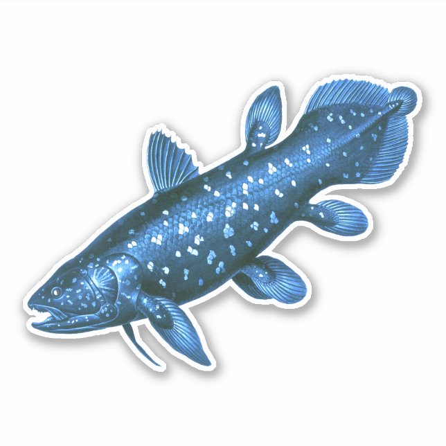 Coelacanth (Front)