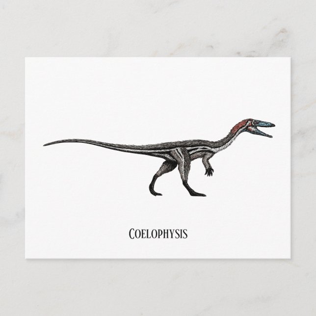 Coelophysis dinosaur postcard (Front)