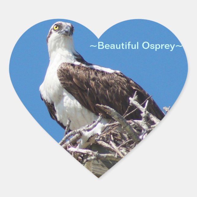 Cœur Beau Sticker Coeur Osprey Hawk (Devant)