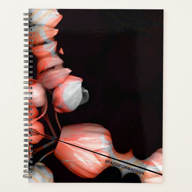 "Coeur blanc en noir du soleil" (Devant)