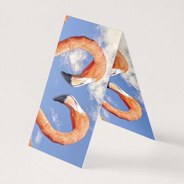 Coeur d'amour flamand des Caraïbes (Front)