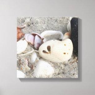 Coeur dans une zone de toile Shell imprimé 12x12 e