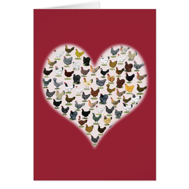 Coeur de poulet (Devant)