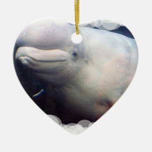 Cœur En Céramique Ornement mignon de baleine de beluga
