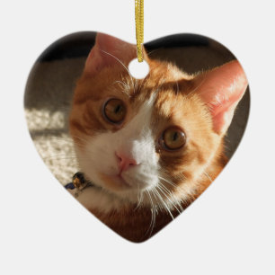 Cœur En Céramique Ornement personnalisé de coeur de photo d'animal
