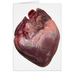 Coeur humain
