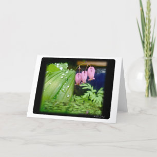 Coeur saignant, carte blanche