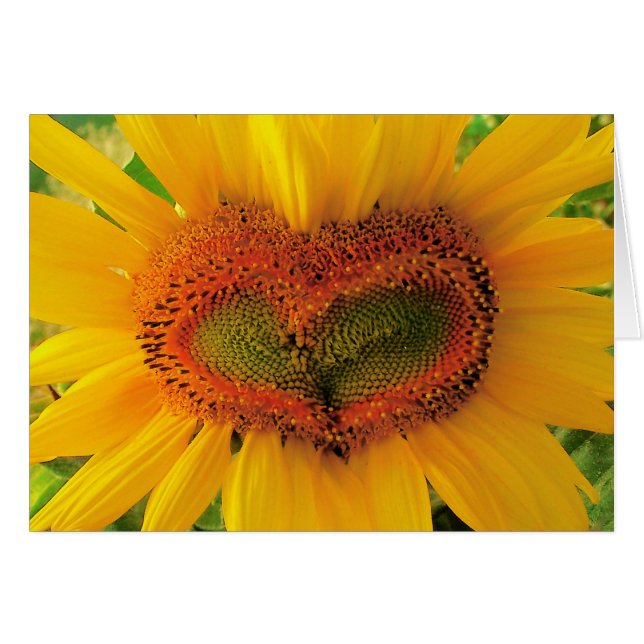 Coeur sauvage, carte de coeur de tournesol, amour, (Devant horizontal)
