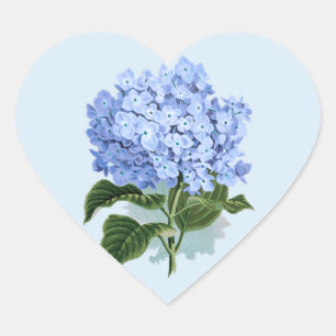 Cœur Sticker à fleurs Sky Blue Hydrangea vintage