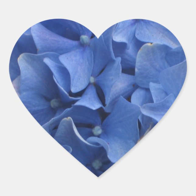 Cœur Sticker Coeur Blue Hydrangeas (Devant)