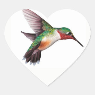 Cœur Sticker Coeur Coeur Coeur Colibri