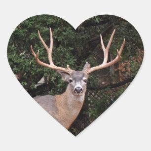 Cœur Sticker Coeur de Cerf