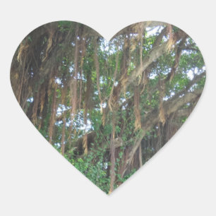Cœur Sticker Coeur des arbres de Mangrov