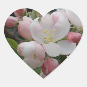 Cœur Sticker Coeur Fleurs Roses Blanches