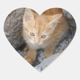 Cœur Sticker Coeur Innocent Kitten